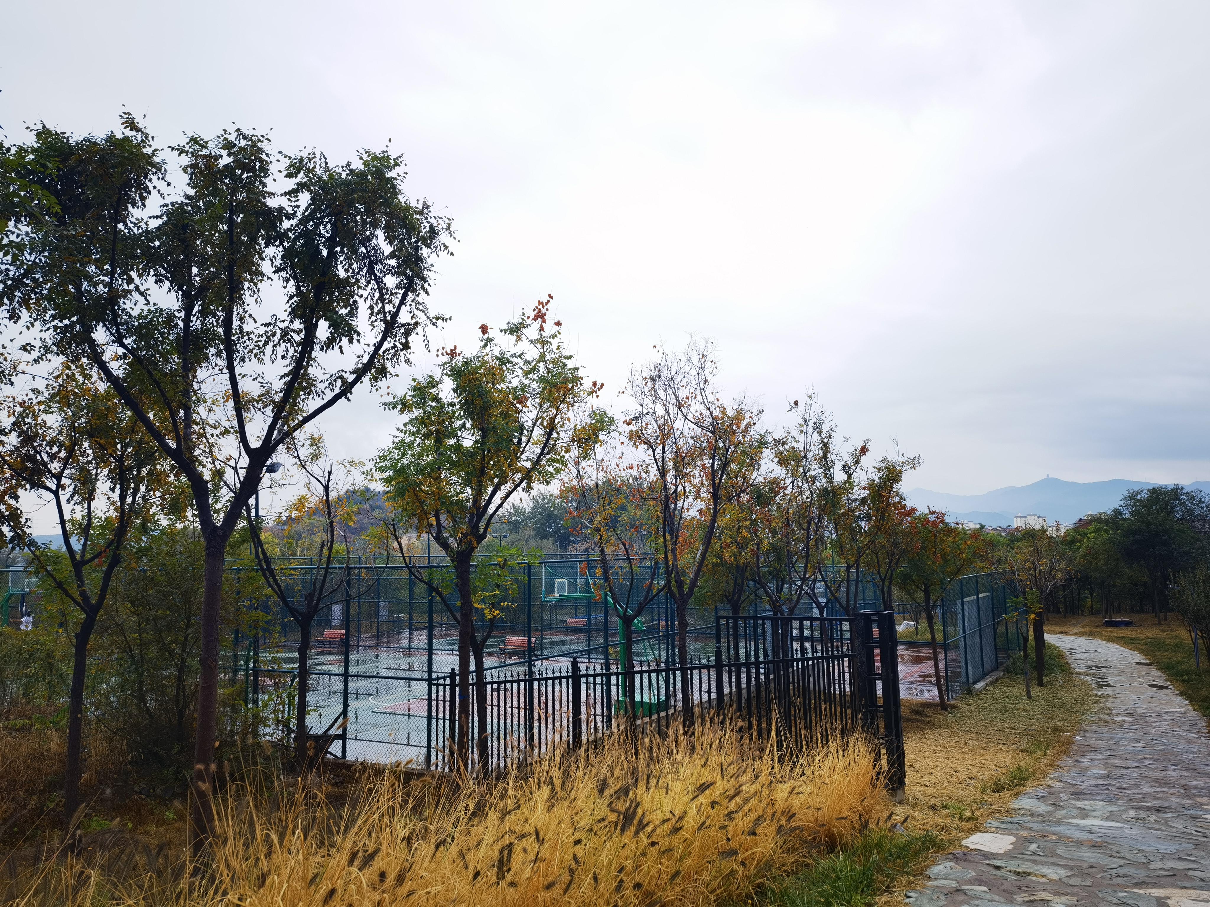 飞翔的小疯驴 的想法: 秋风扫落叶之炮山公园 | 94 我相册里的秋天