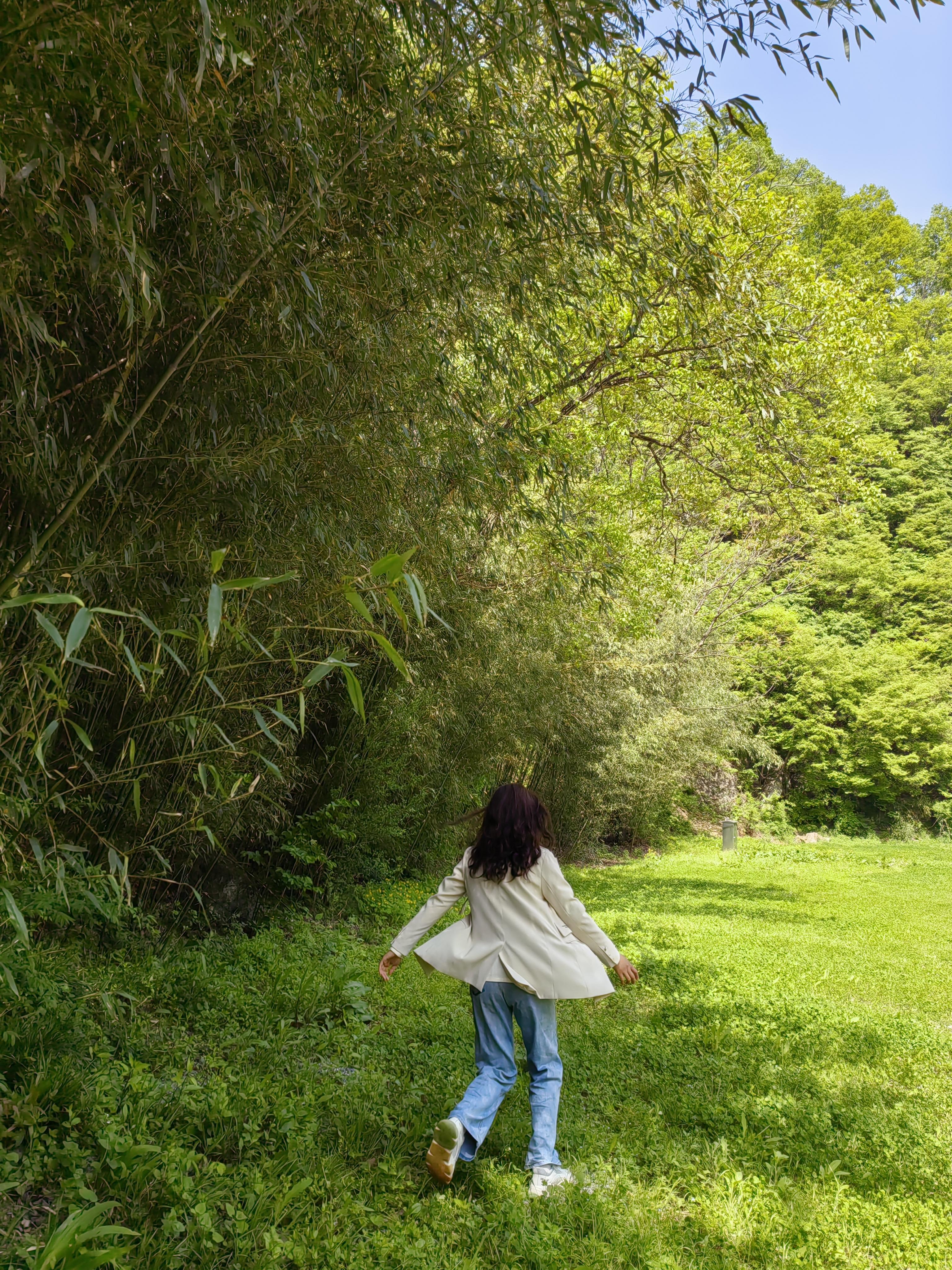 月芽 的想法: 老君山旁,追梦谷里的绿光森林 | 92设备:华为nove7pro