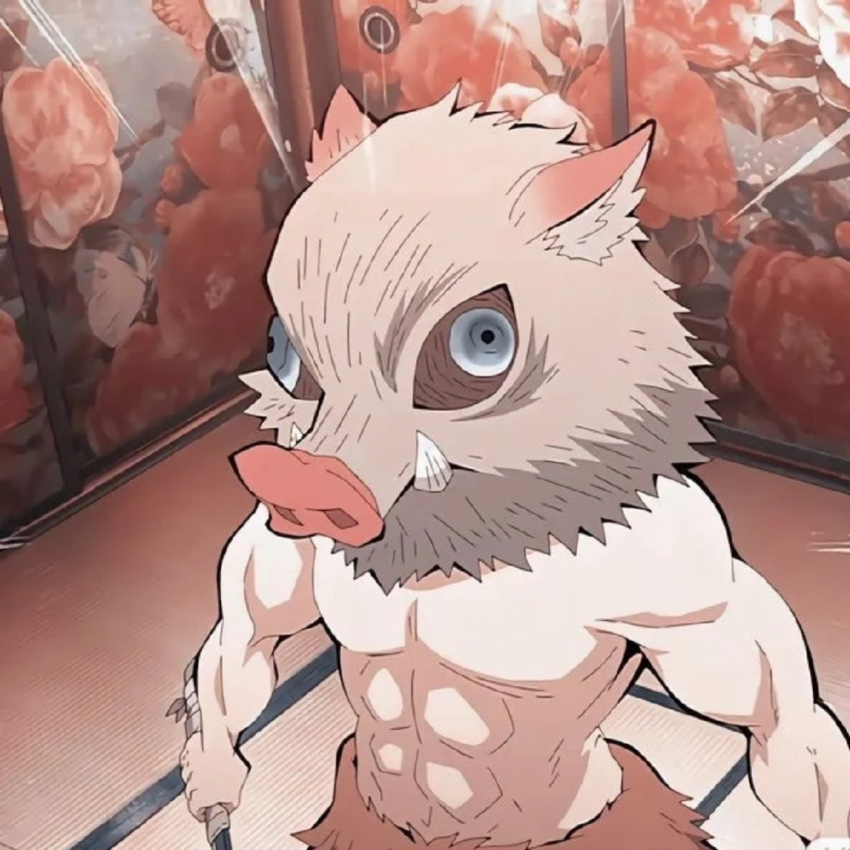 坏女孩笔记 的想法: 关于深蹲和半月板