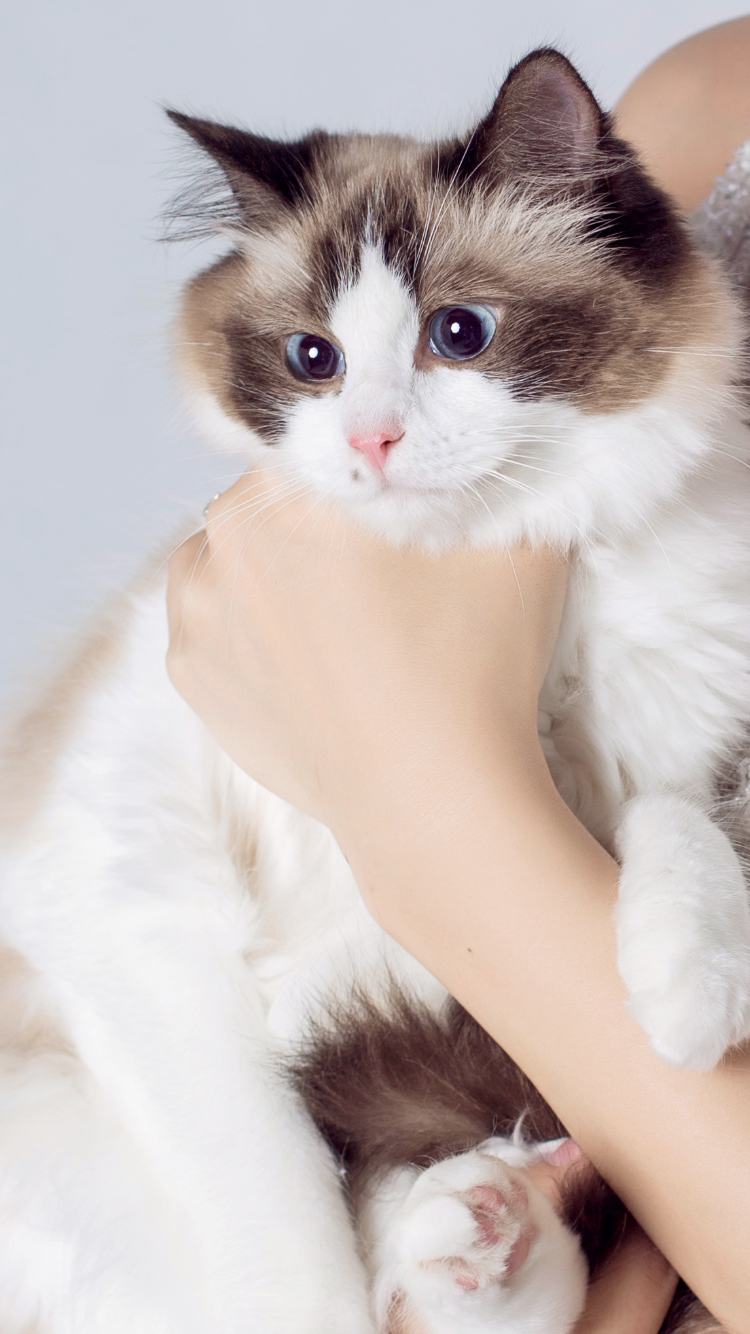 你的宠物最萌的一张照片是怎样的