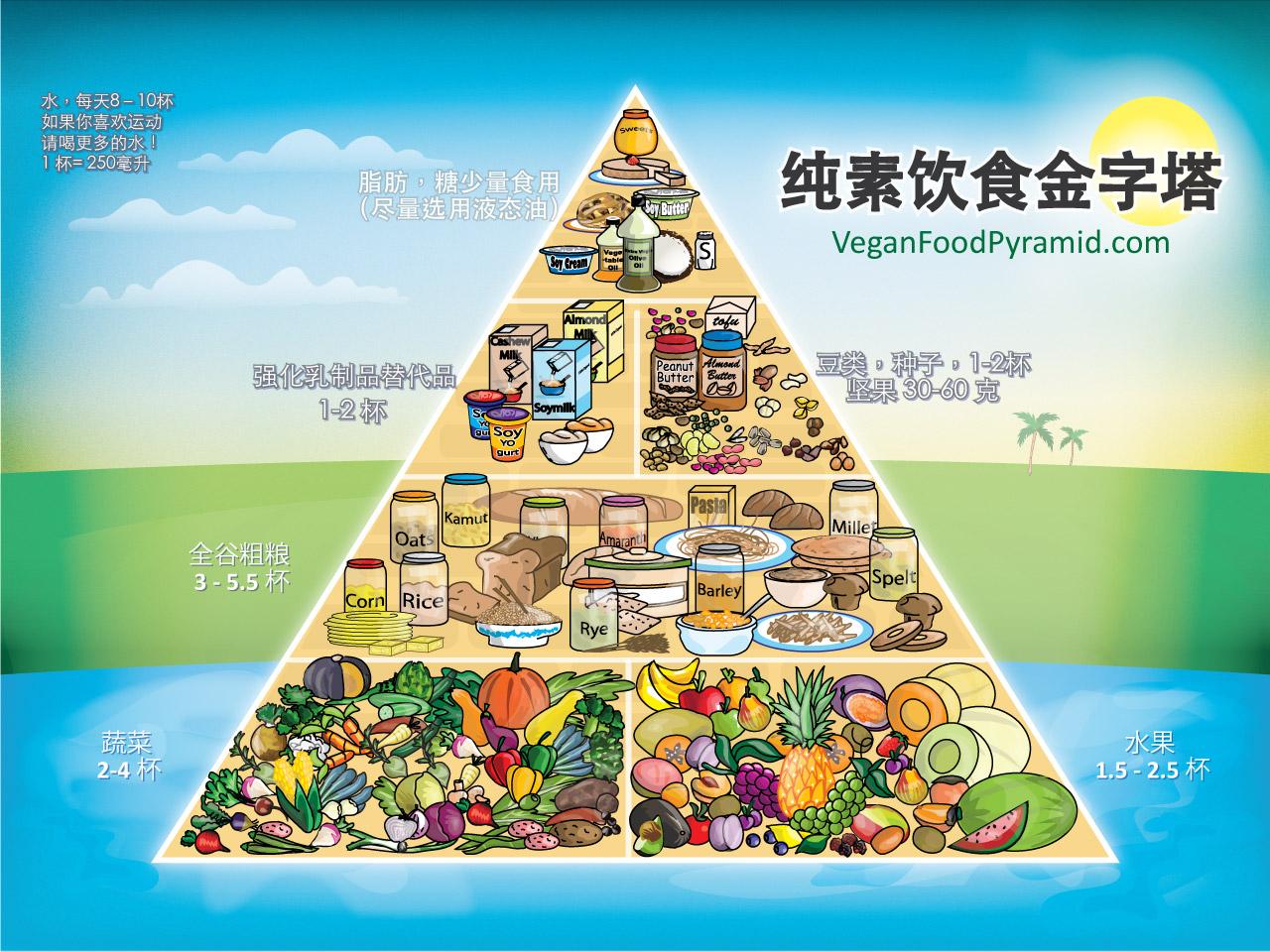 素食者膳食金字塔