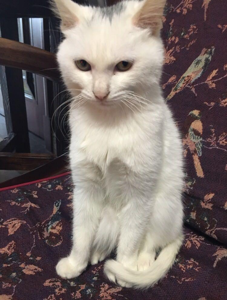 Minni 答过的问题 - 知乎