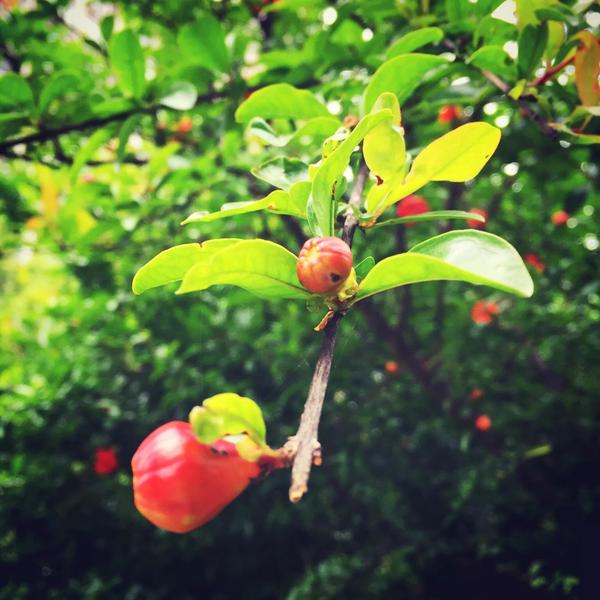 你手机里有什么好看的图片?