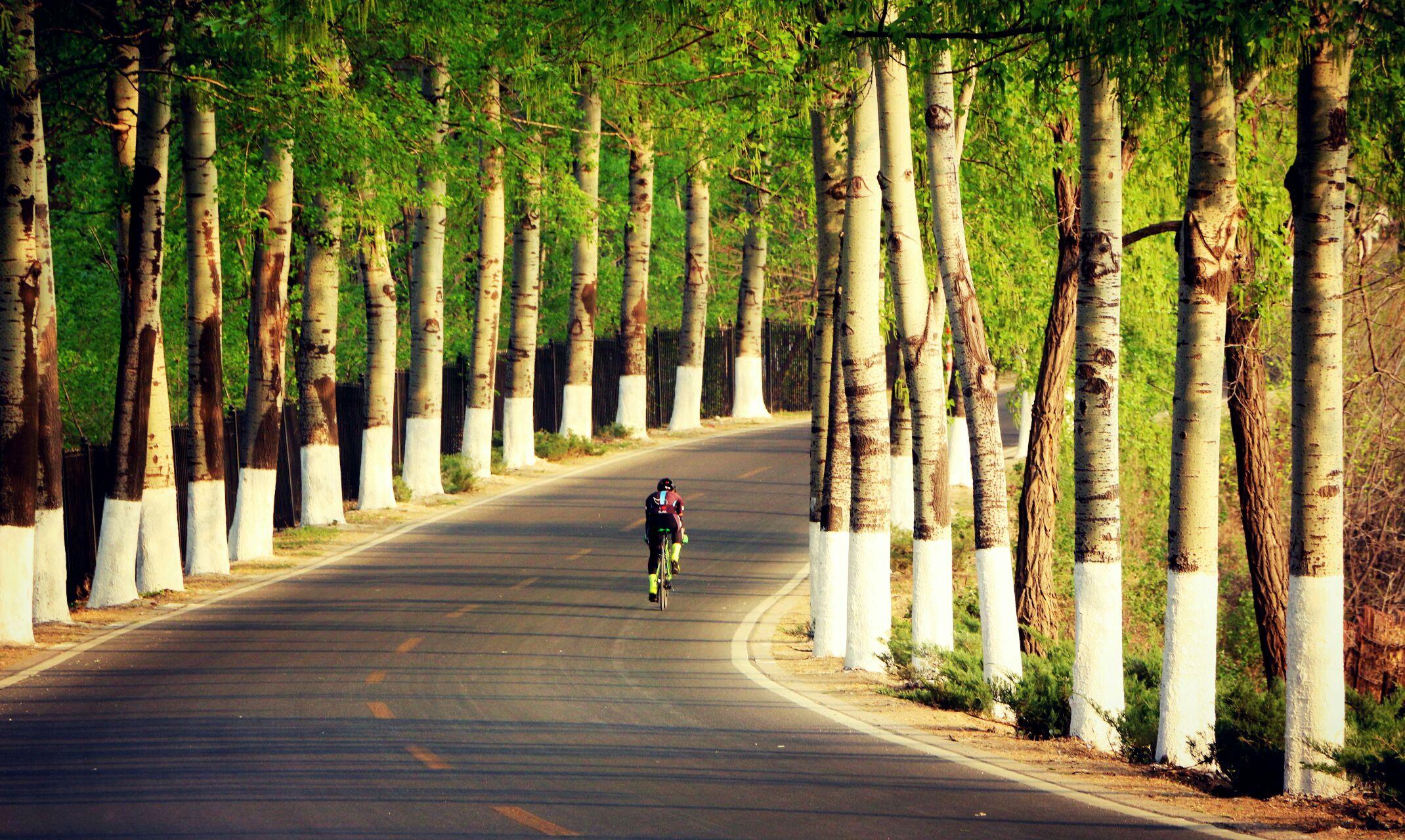 北京哪里拍写真好海淀-拍写真怎么选择哪家好-北京海淀公园外拍(17p)
