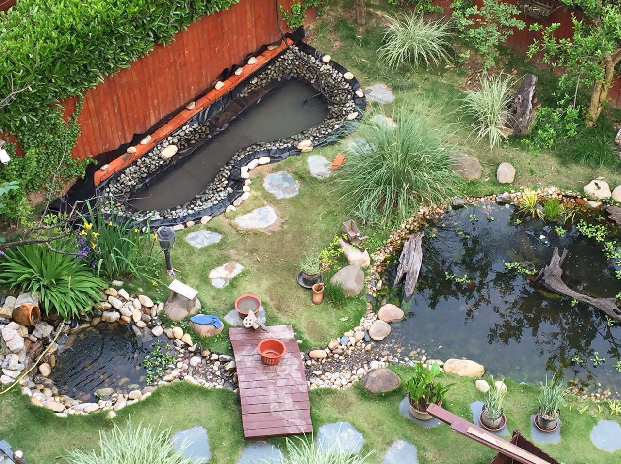 低成本建造一座庭院池塘 - 知乎