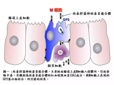 图标