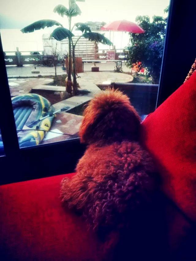 如何评价现在的兼职旅行,义工旅行?(特别对于