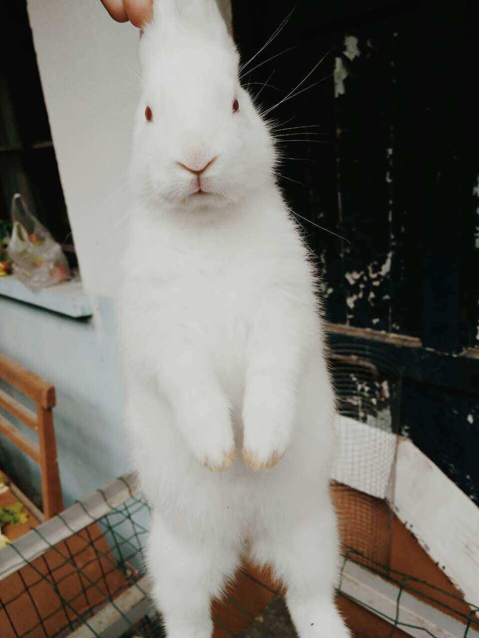 在机关单位每天看书、学英语,容易被那些天天