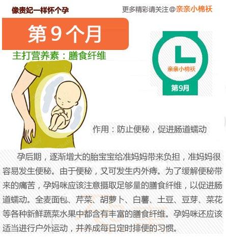 1bde4bcde16cf3f90e38e12a32f1c93f_r.jpg