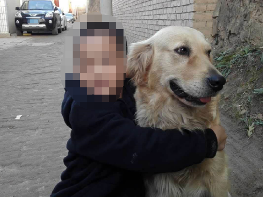 狗狗养多久会长大 1fd5fa1a2e3f0cf4dbdc6a7f96df2b5b_r.jpg