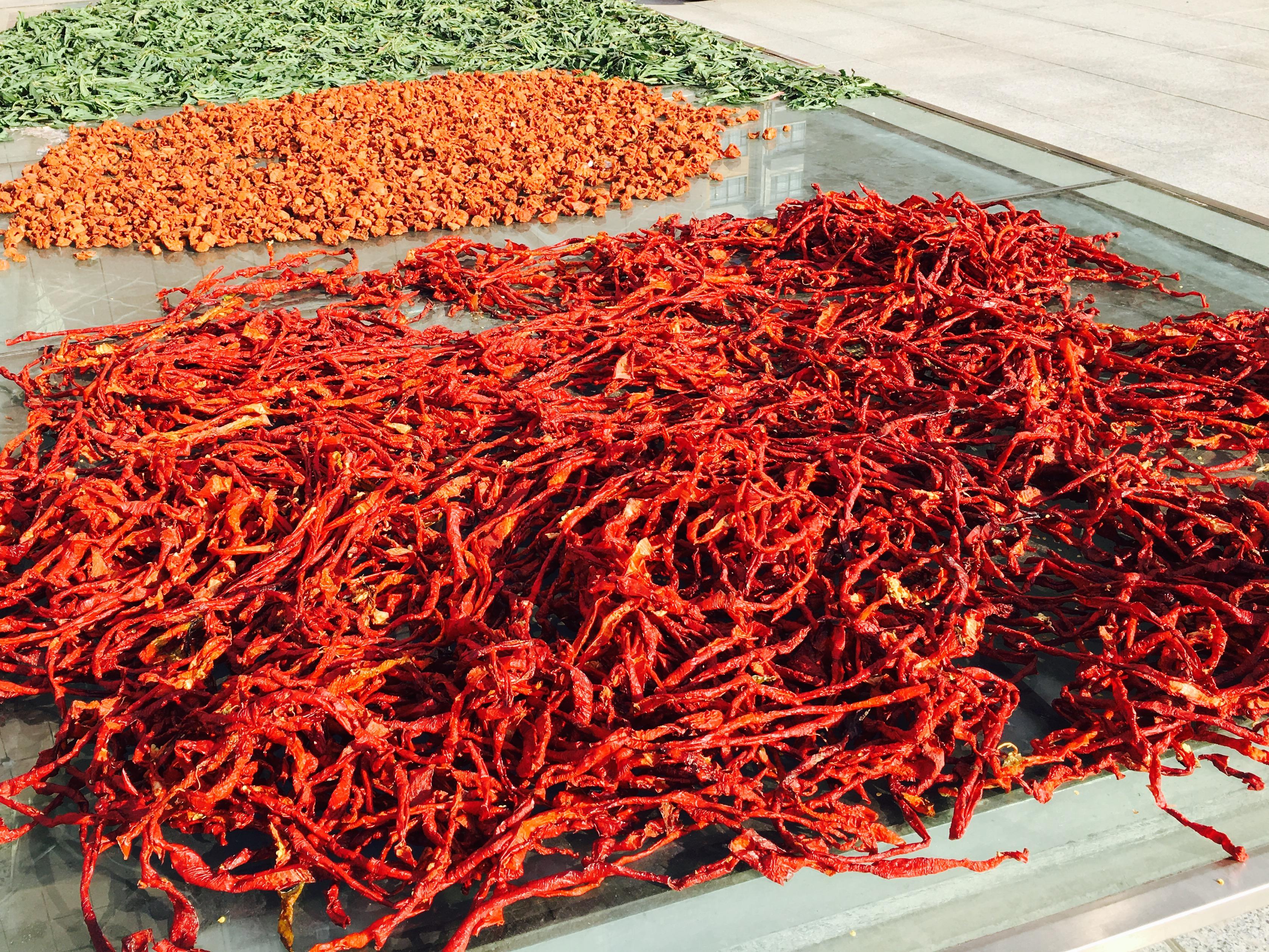 怎样晒干辣椒不容易发霉 2108a209124ab3253a5f486921bff33b_r.jpg