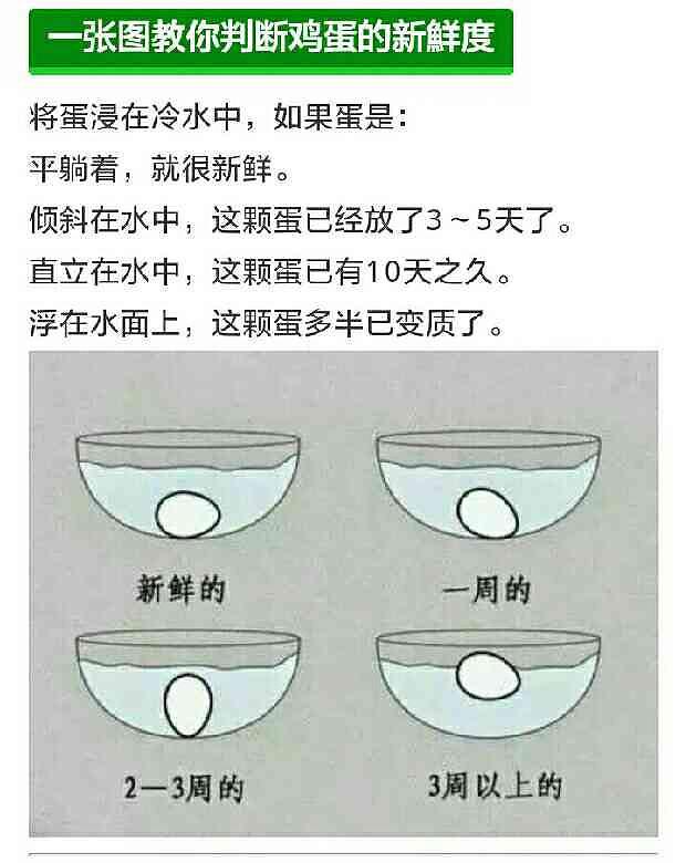 23702c16a9b5e46d9802badbde1a8425_r.jpg