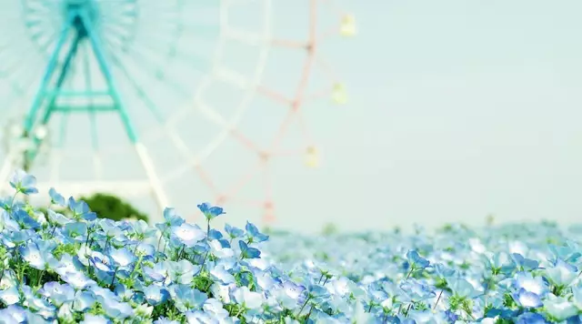 华创证券研究所机构销售实习经历--梦开始的地