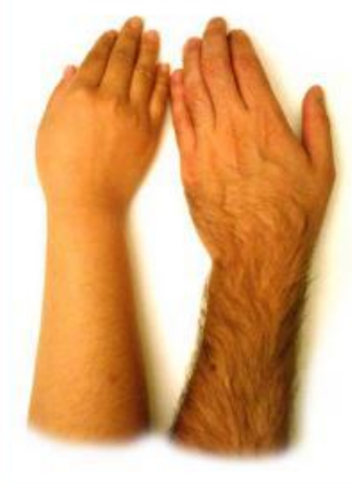24433aabb680ad9bfaaefe270c1fb313_b.jpg