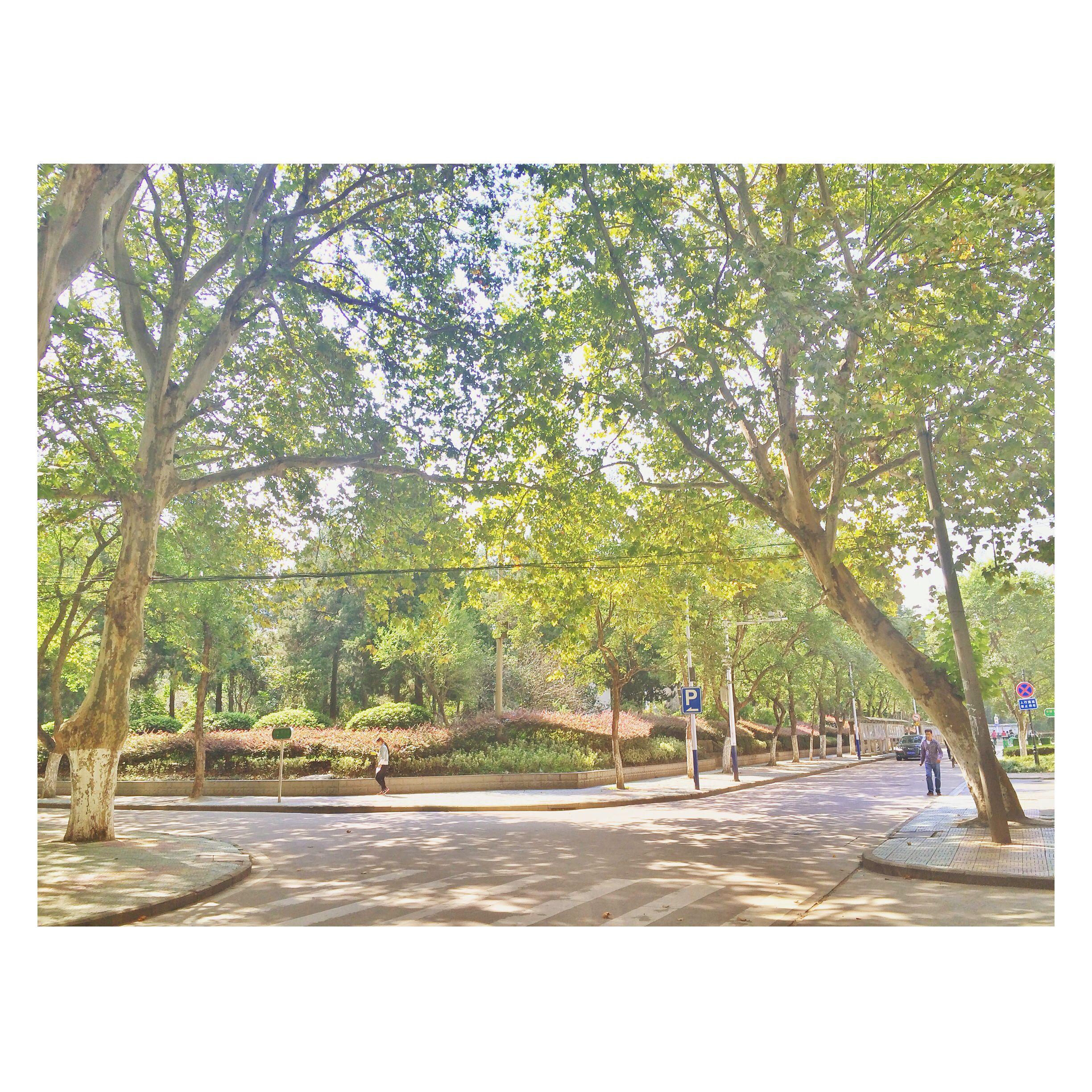 日语里有哪些很美的词? - MaryC 的回答