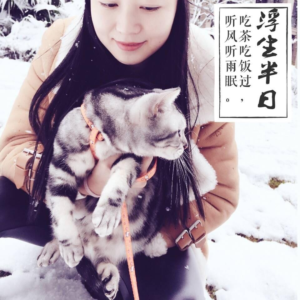 为什么有人遛狗,却没看到有人溜猫。换句话说