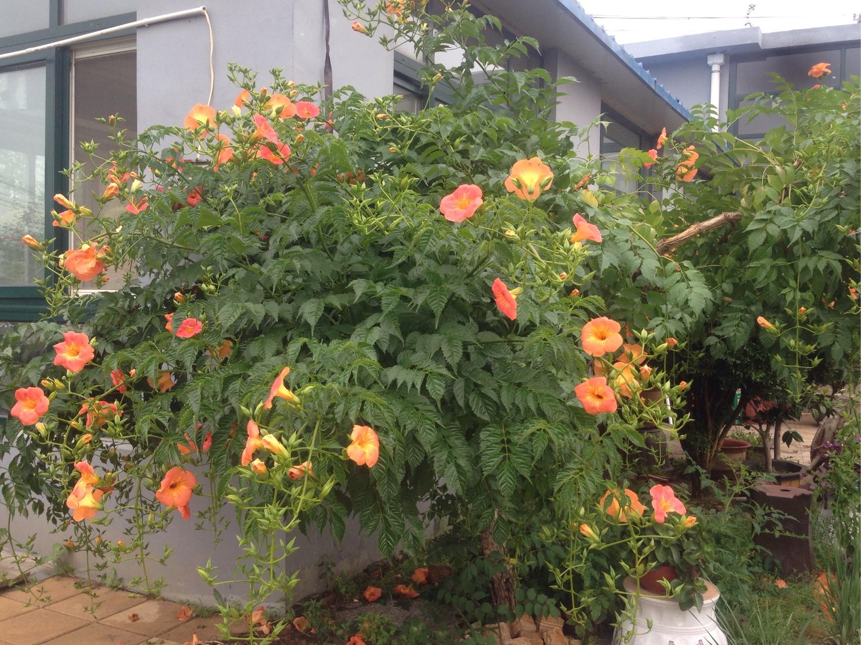 如何早起?现在每天早上都到十一点十二点才起