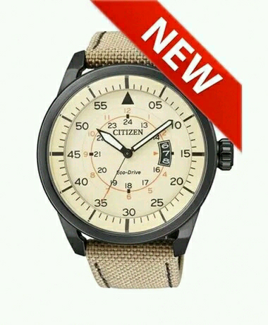 淘宝上700块代购的西铁城光动能aw1365靠谱