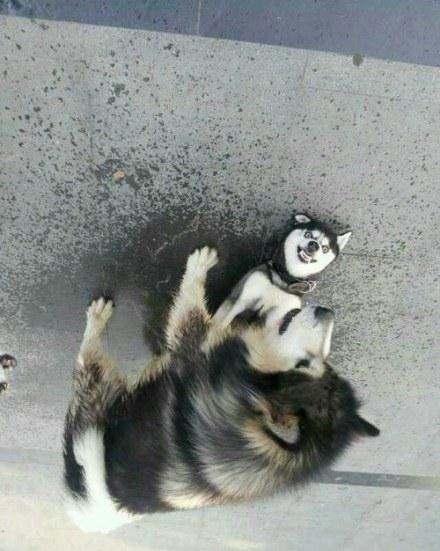 我的小伙伴微信名字叫李二狗,她妈想让她换一个好