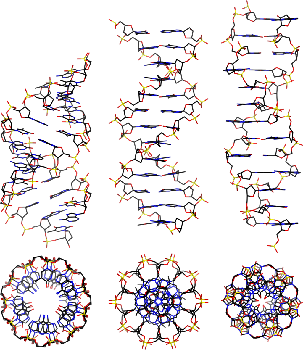 RNA RNA rna-rna