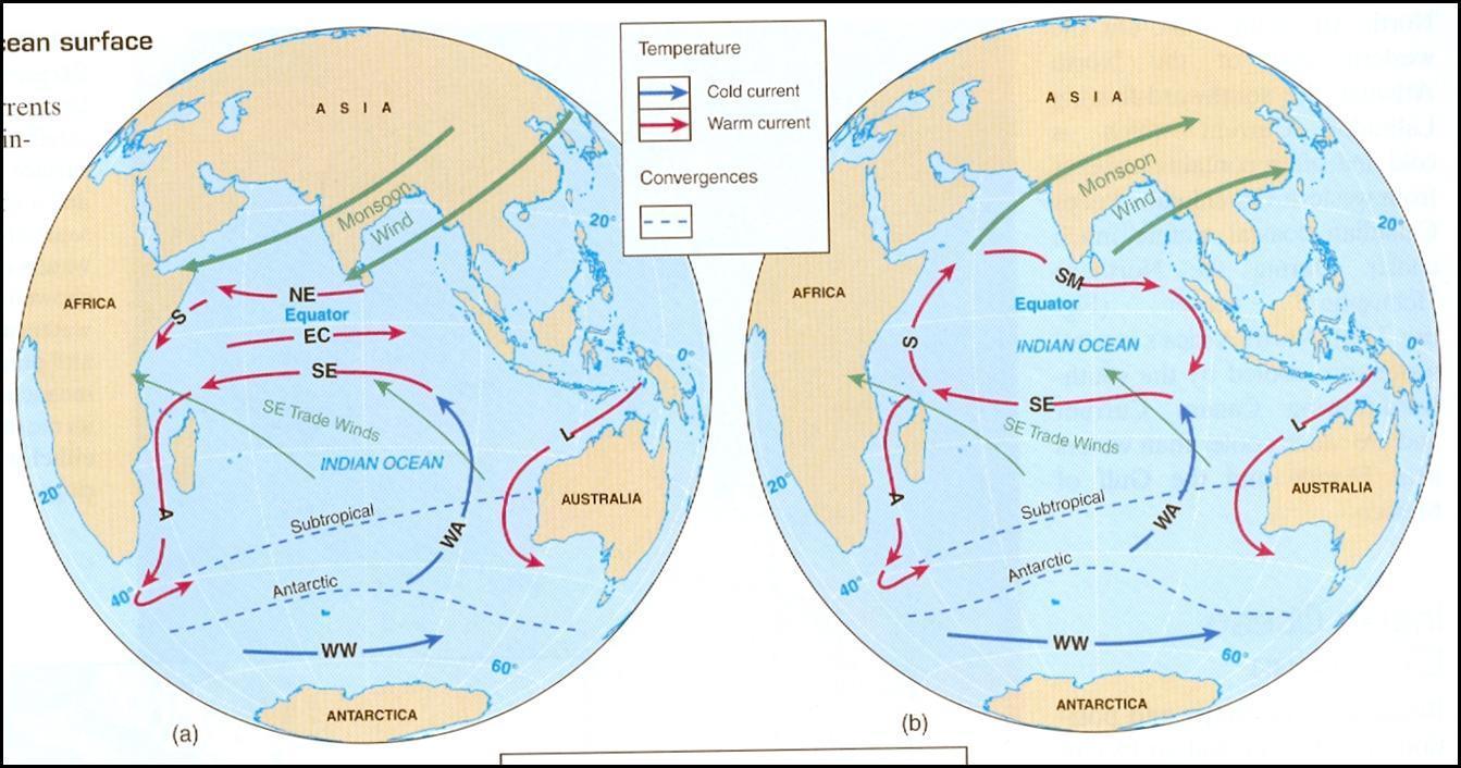 Течение западных ветров температура. Течение западных ветров на карте Антарктиды. Антарктическое течение на карте. Антарктическое циркумполярное течение на карте. Антарктическое течение.