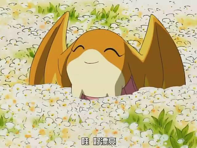 数码宝贝第一部,被选召孩子的八个数码宝贝中