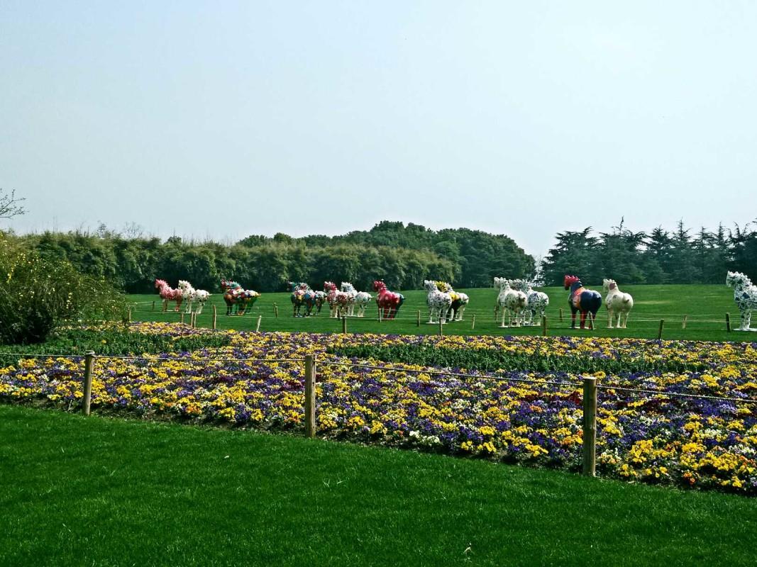 哪些地方适合一个人旅行? - 冬日正好眠的回答