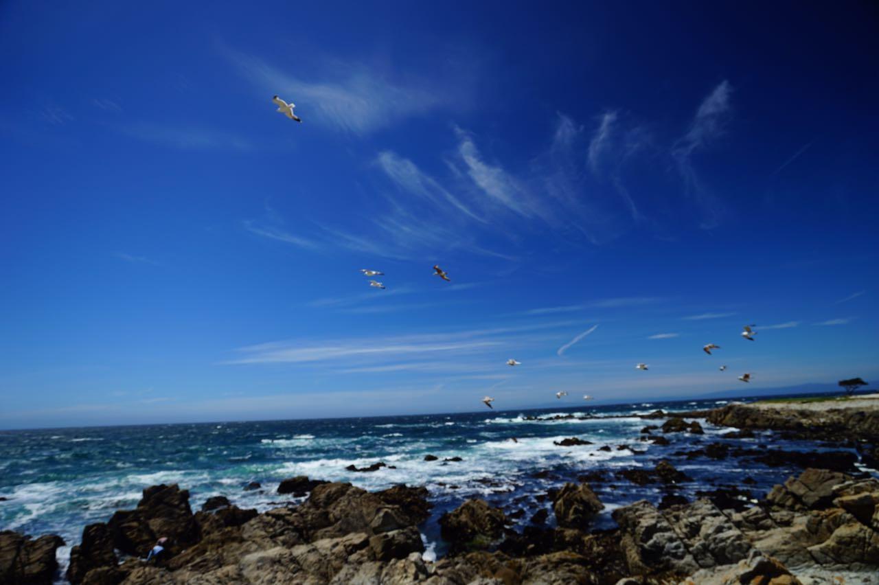 从洛杉矶沿着加州一号公路开车到旧金山,如何