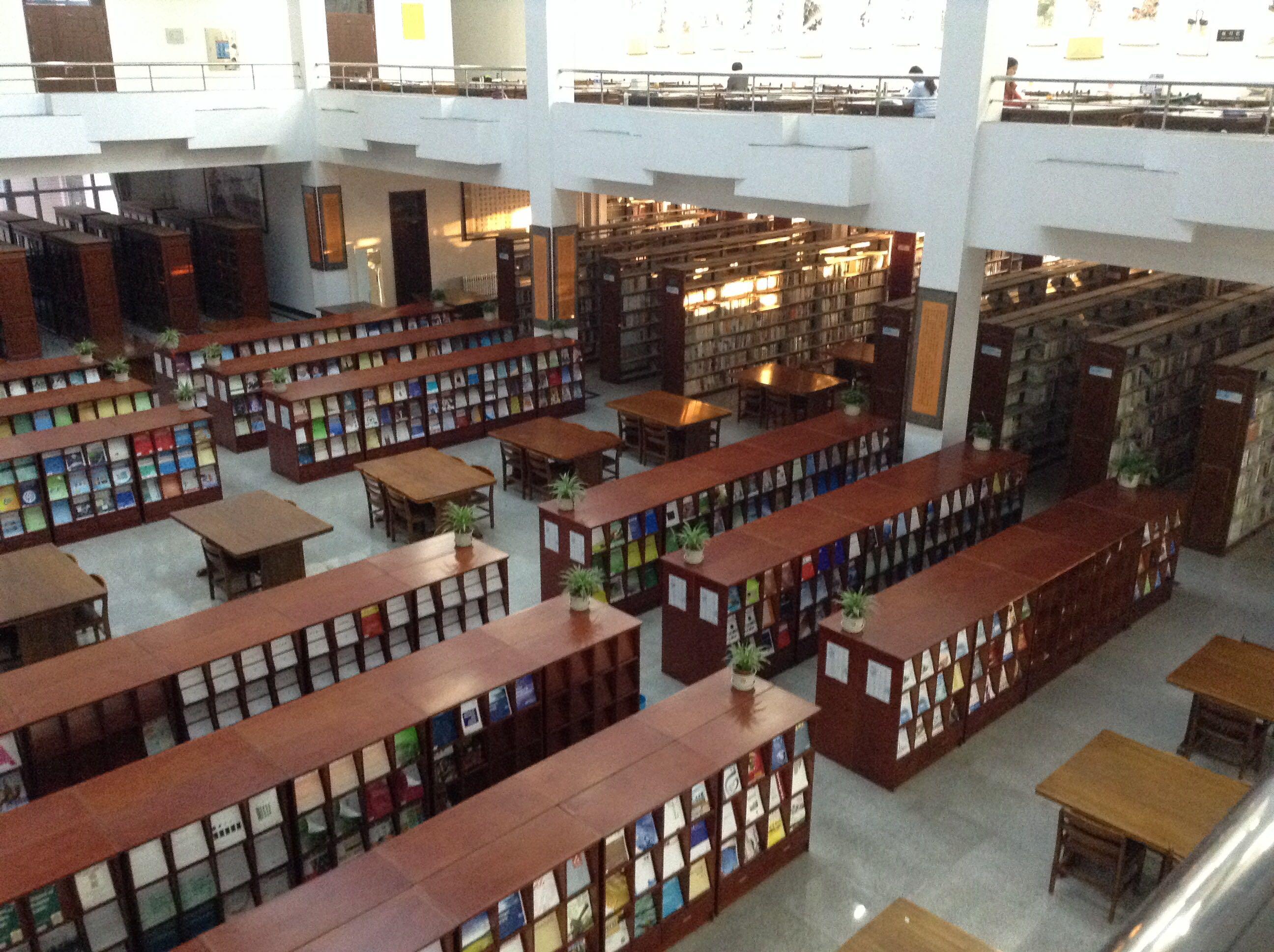 “2019最美校园图书馆”来了！这54所深圳校园图书馆到底有多美？|最美校园|图书馆_新浪新闻