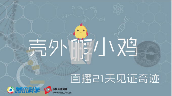 直播全回顾 无壳孵化结束 小四和你说再见 知乎 直播全回顾 无壳孵化结束 小四和你说再见 知乎