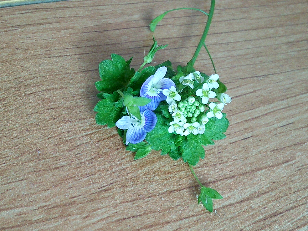 音乐艺考单招一直没过,但统招过了,还需要继续