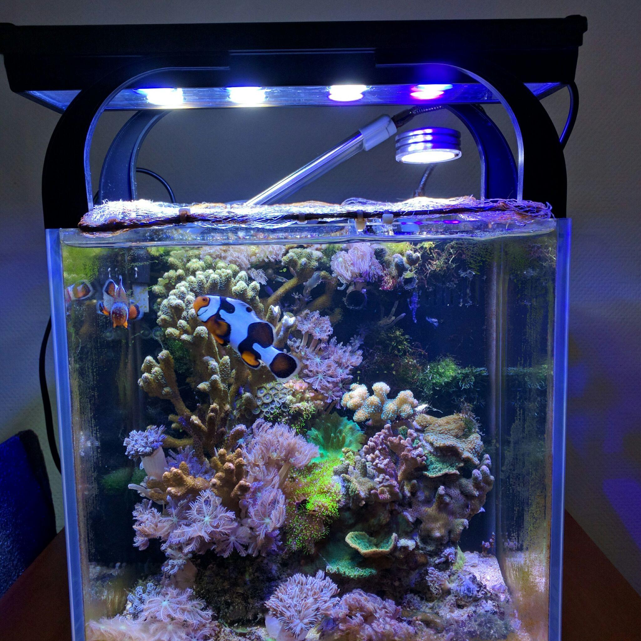 海水微缸nanotank