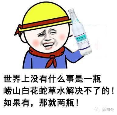 崂山白花蛇草水---没落的贵族的饮料