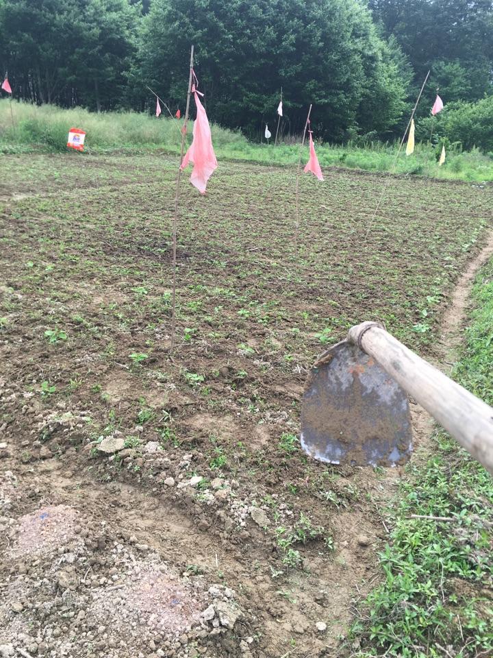 如何体验到像周杰伦《稻香》歌词中所描写的生