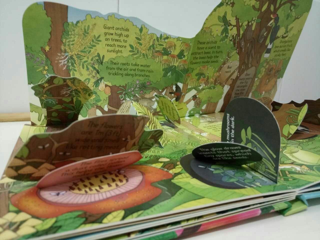 英文原版绘本3d立体书