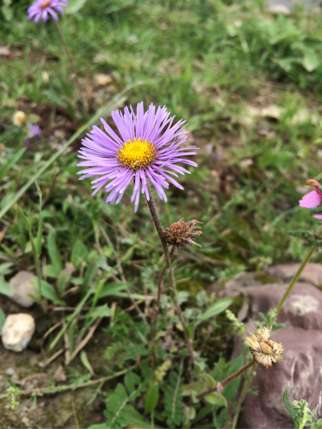 你手机里有什么好看的图片? - 樱桃子的回答