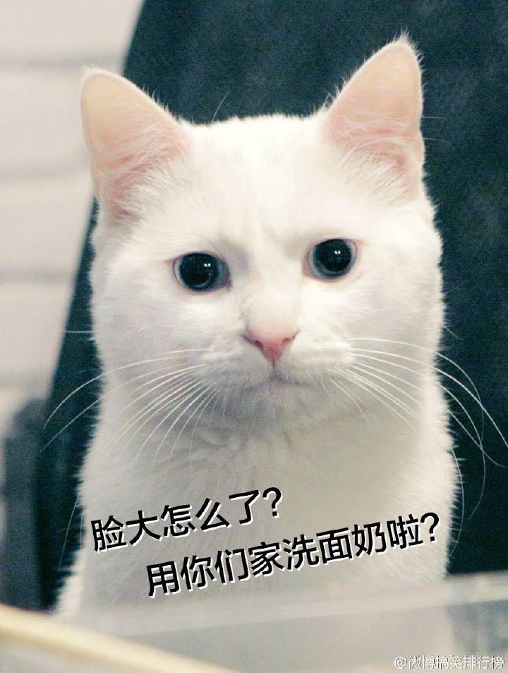 别人说你配吗你该怎么回答 3fbdaad41738fb23f56647e324c8634b_r.jpg