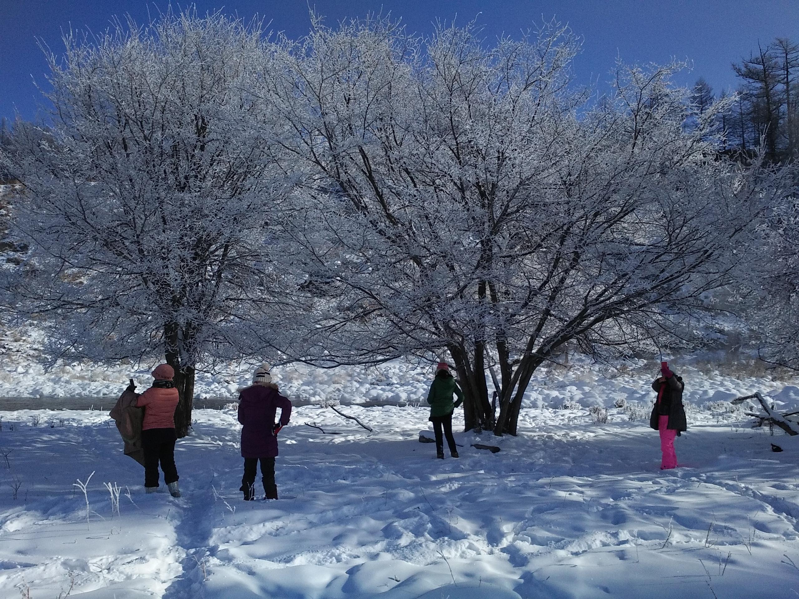 阿尔山包车体验如何? - 唐白音的回答 - 知乎