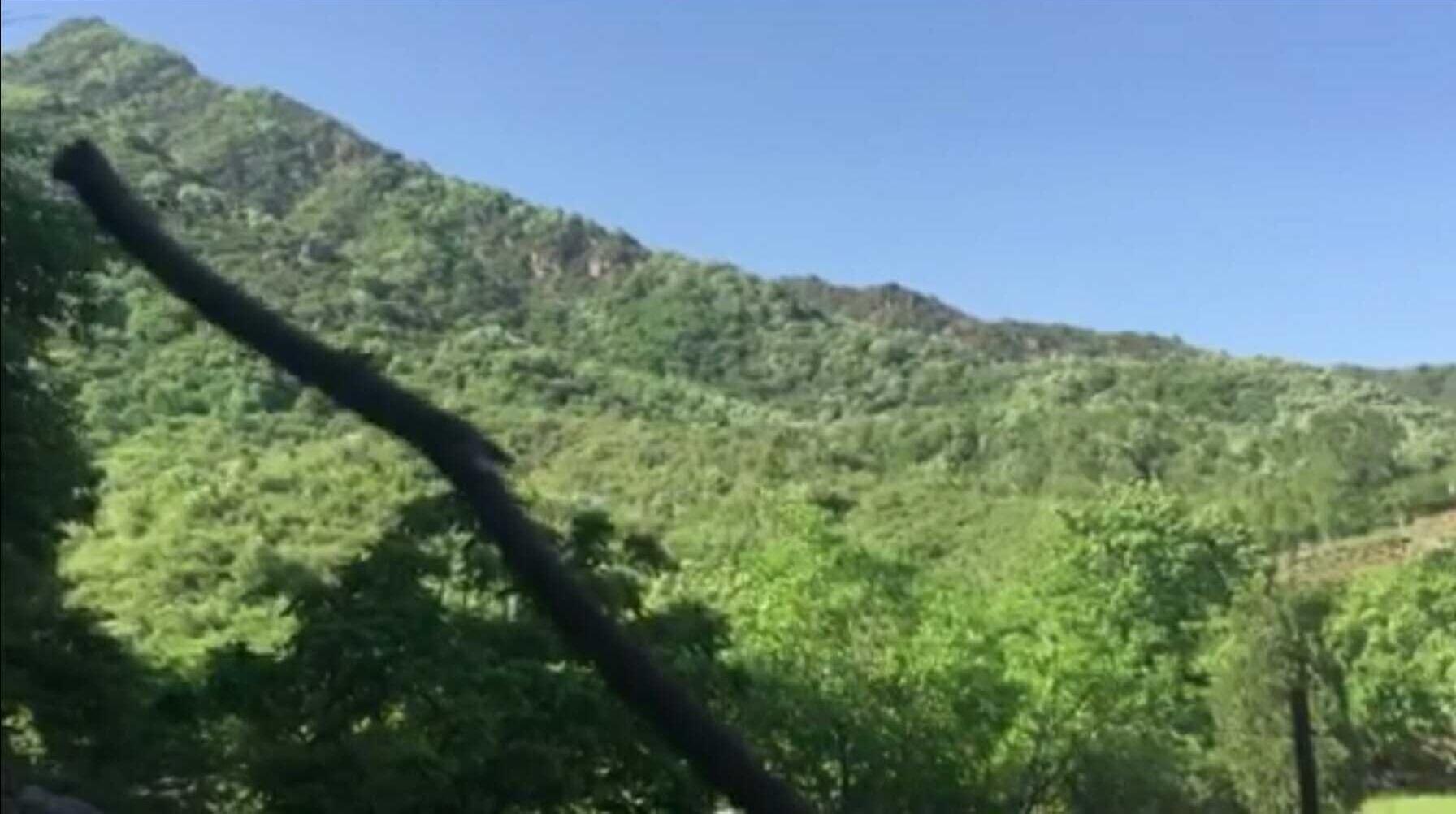 如何成为一名风水师,怎样入门,学习历程是怎样