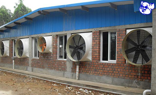 养猪问答三养猪场如何为猪舍选购风机