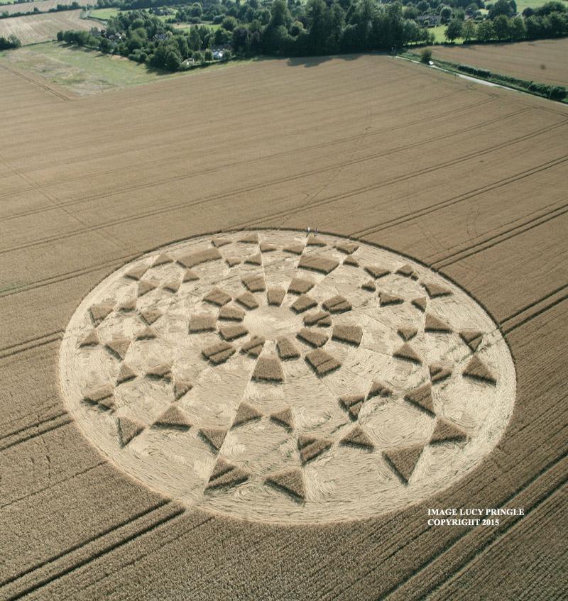 2015麦田圈季大回顾