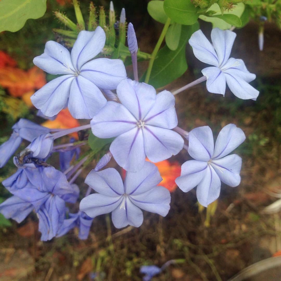 如何早起?现在每天早上都到十一点十二点才起