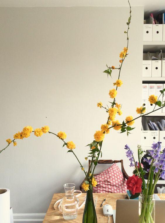 花名册 天下最好看的黄 知乎