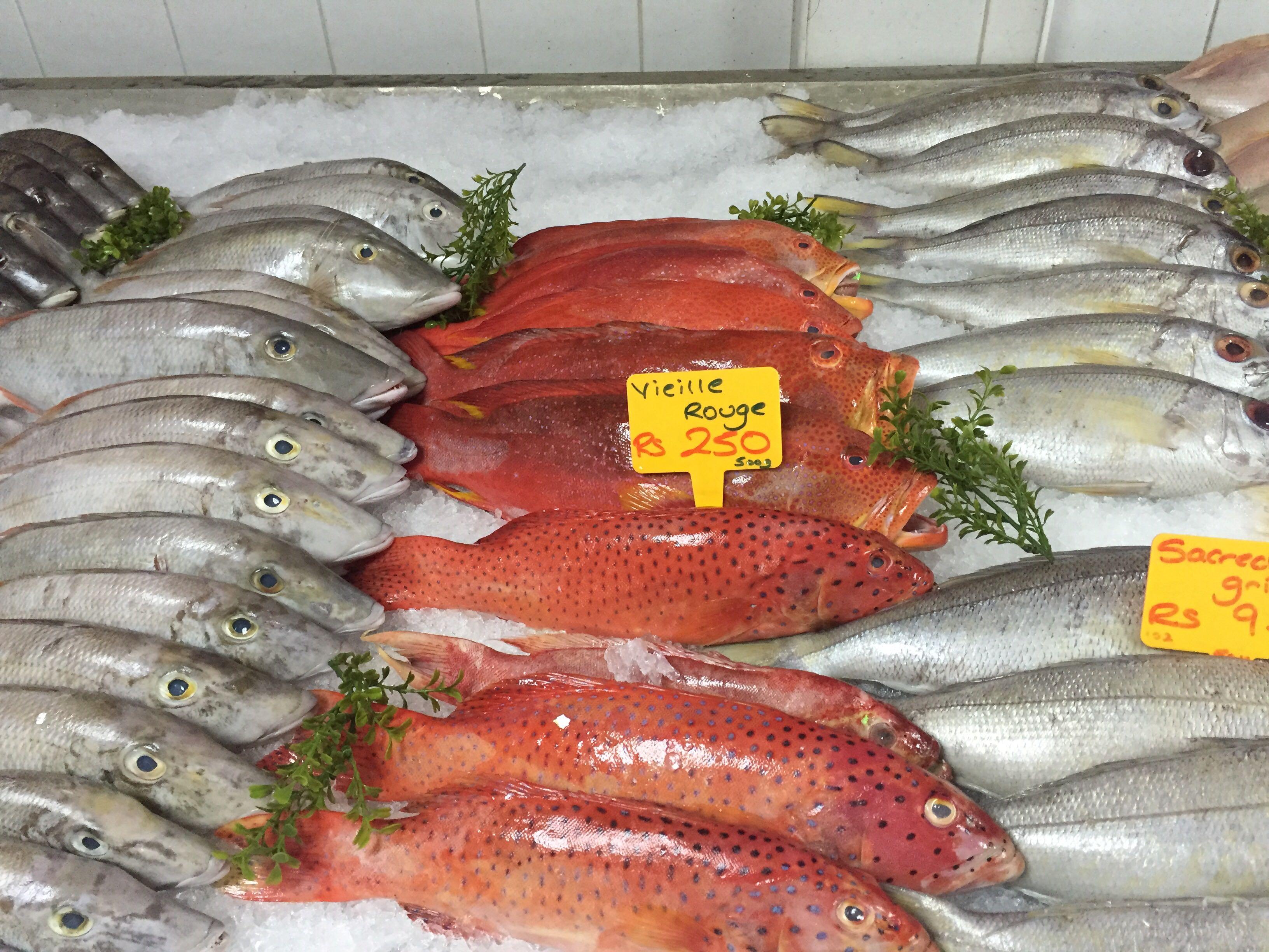 有哪些冷门的留学国家?