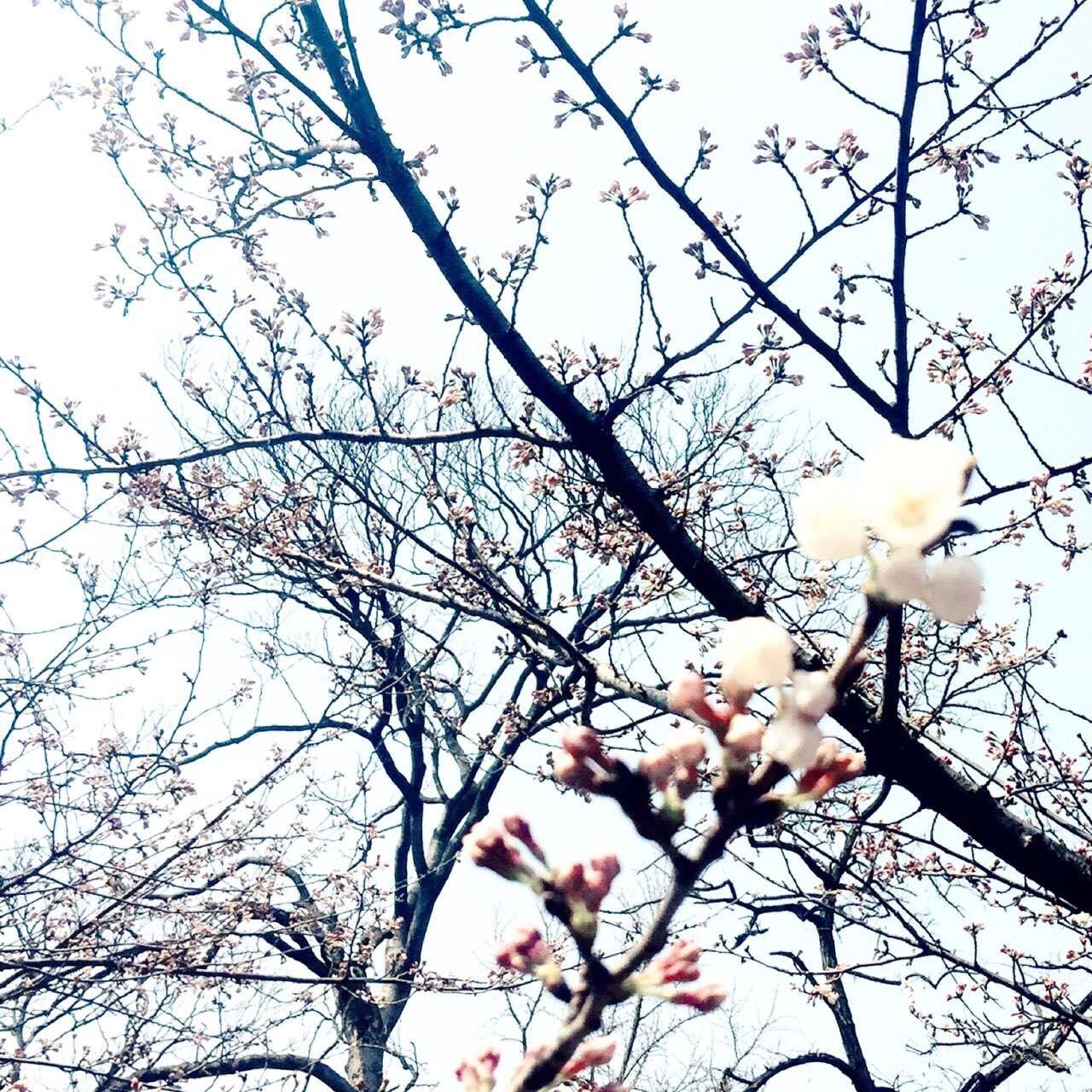 在南京和姑娘在一起有哪些好玩的地方? - 匿名