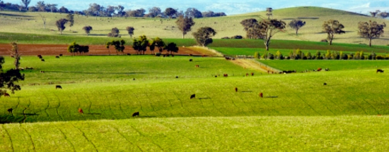为什么,西欧北欧,美加,澳纽等地的农村看上去总