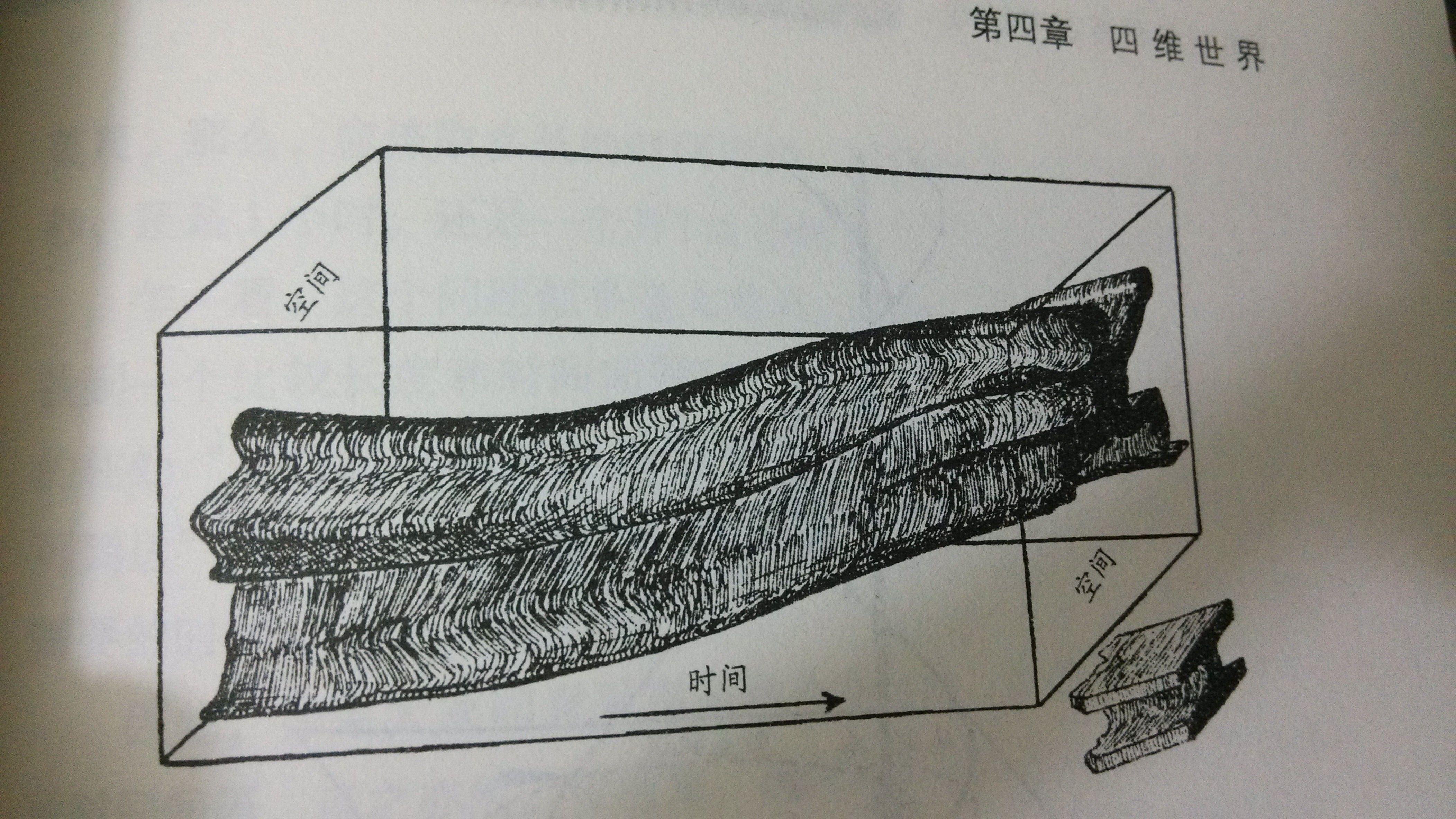 星际穿越中的5维是那几维?
