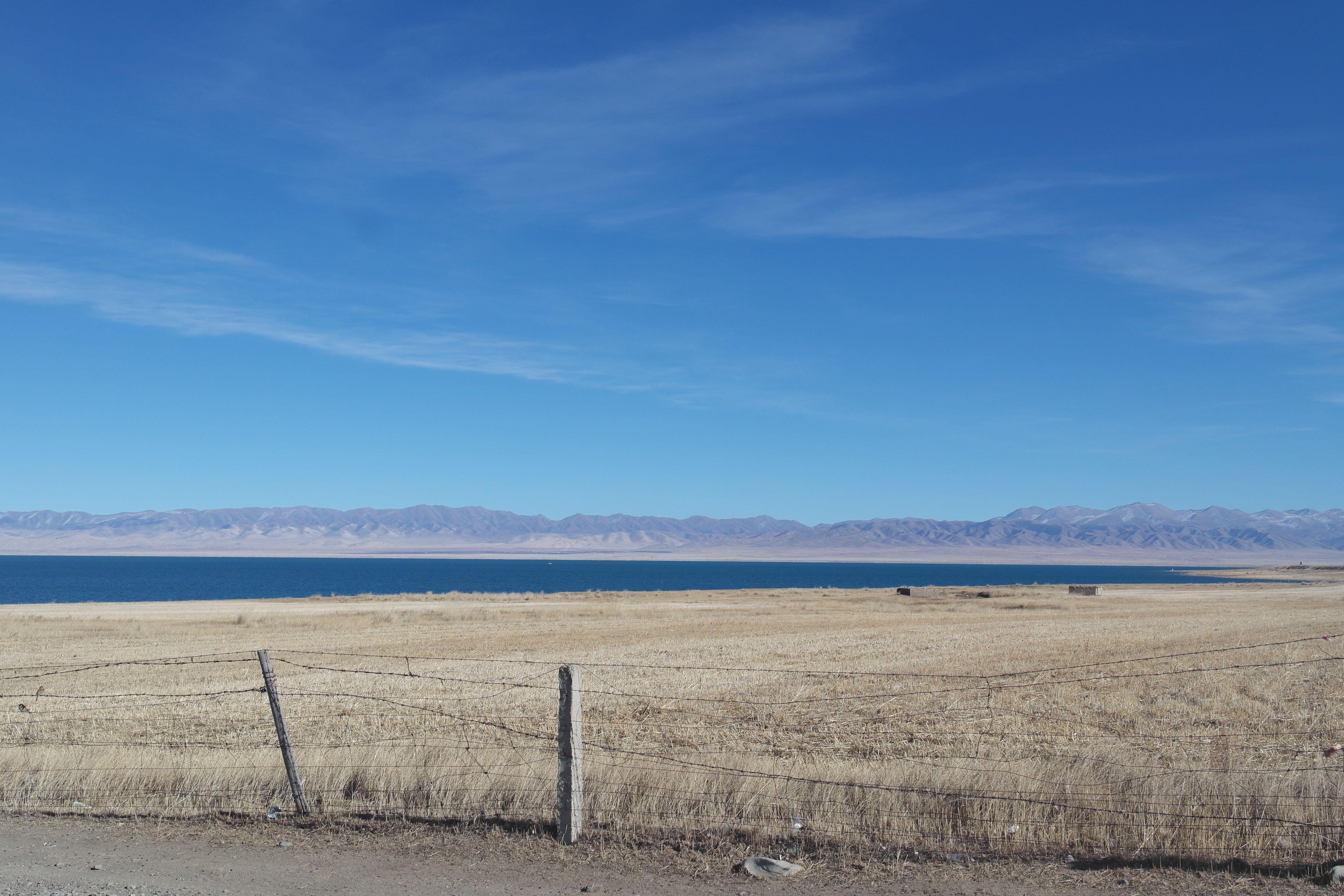 高原反应是一种什么感受? - 倾宸的回答