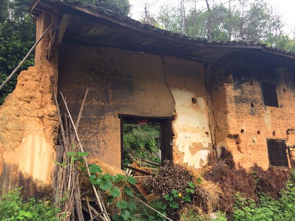 以前是一片片的青瓦泥巴房,而现在是一栋栋的小洋楼.