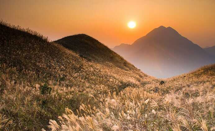 東邊從伯公坳開始-鳳凰山-昂坪纜車下山,平面距離5.